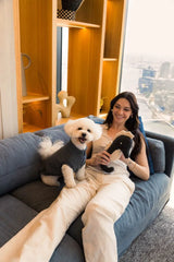 FuzzYard Life Dog Toy Slate Grey Seahorse