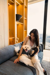 FuzzYard Life Dog Toy Slate Grey Seahorse