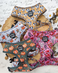 Little Pumpkin Bear Cub Dog Harness