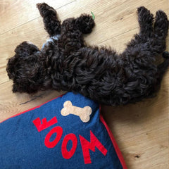Red On Denim Woof N Bone Dog Bed