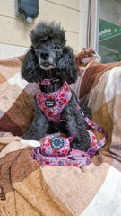 Berry Blossom Floral Dog Harness Set
