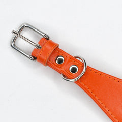 Line Dancer Stylish Collar for Lurchers by Petiquette