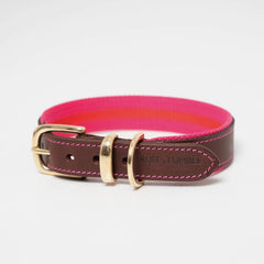 Blakeney Canvas Leather Collar - Fuchsia