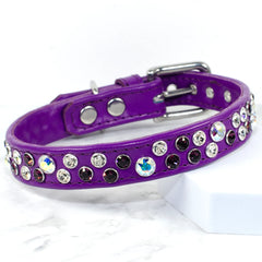 Chaos Theory Bling Dog Collar by Petiquette