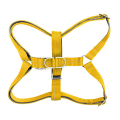 Bowl and Bone Active Yellow Dog Harness