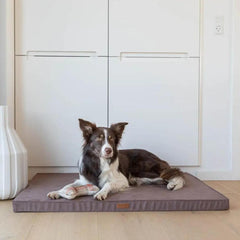 Bowl and Bone Classic Brown Foam Dog Mat