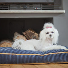 Bowl and Bone Deco Sapphire Dog Bed Cushion