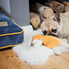 Bowl and Bone Deco Sapphire Dog Bed Cushion
