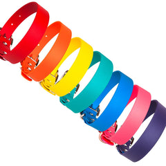 Bright Biothane Vegan Leather Dog Collars | Creature Clothes