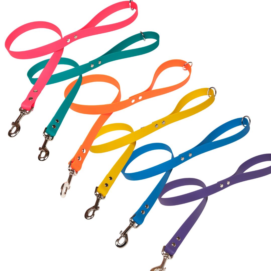 Bright Biothane Vegan Leather Dog Leads | Creature Clothes