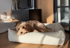Calming Boucle Harmony Dog Bed in Harmony Cream