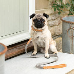 Camello Leather & Grey Tweed Dog Collar By Mutts & Hounds