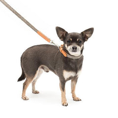 Camello Leather & Grey Tweed Dog Collar By Mutts & Hounds