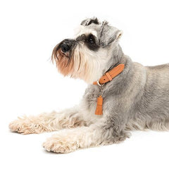 Camello Leather & Grey Tweed Dog Collar By Mutts & Hounds