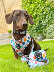 Chunky Check Dog Harness
