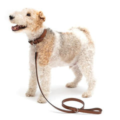 Tan Full Leather Dog Collar