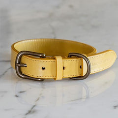 Mustard Full Leather Dog Collar | Mutts & Hounds