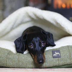 Country and Twee Tweed Cave Dog Bed