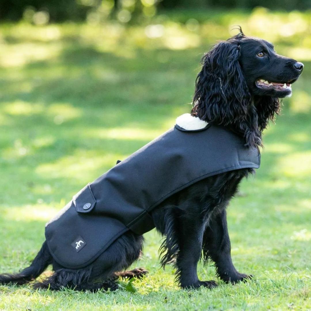 Country and Twee Waterproof Black Dog Coat