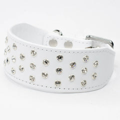 Crystal Clarity Luxury Whippet by Petiquette