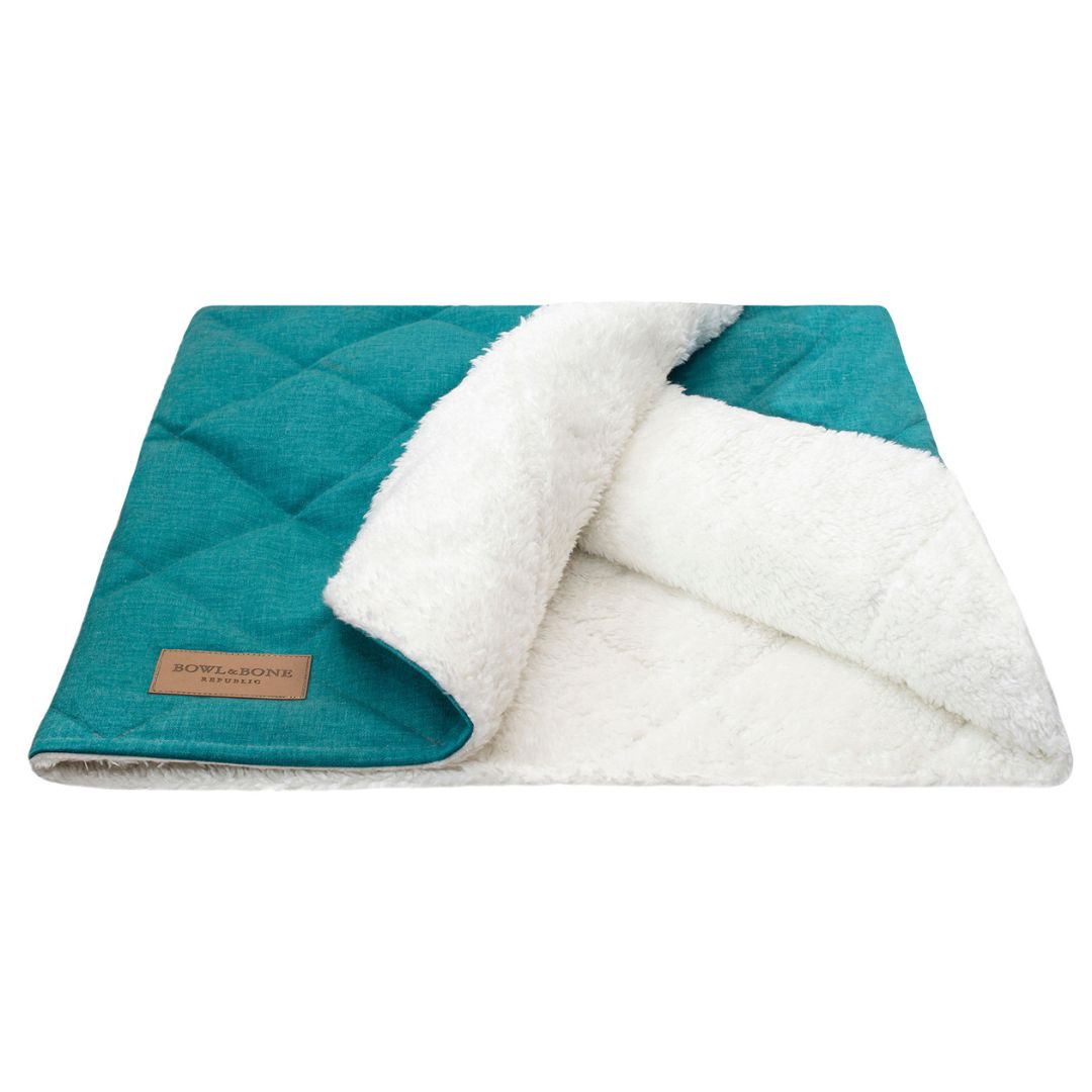 Bowl and Bone Dreamy Mint Dog Bed