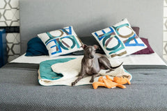 Bowl and Bone Dreamy Mint Dog Bed