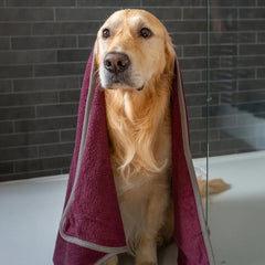 Dog Drying Towel - Burgundy