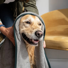 Dog Drying Towel - Flint