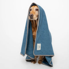 Dog Drying Towel - Teal