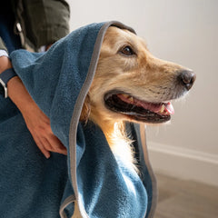 Dog Drying Towel - Teal