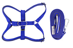 Bowl and Bone Active Blue Dog Harness