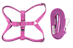 Bowl and Bone Active Pink Dog Harness