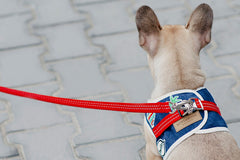 Bowl and Bone Navy Denim Dog Harness