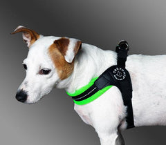 Tre Ponte Easy Fit Fluo Green Mesh Dog Harness with Adjustable Girth