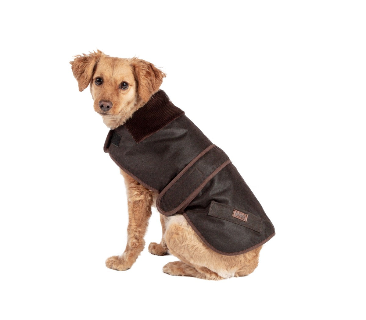 FatFace Sussex Dog Coat by Danish Design