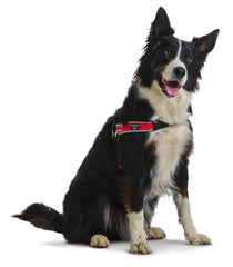 Tre Ponti Forza Anti-Pull Red Dog Harness