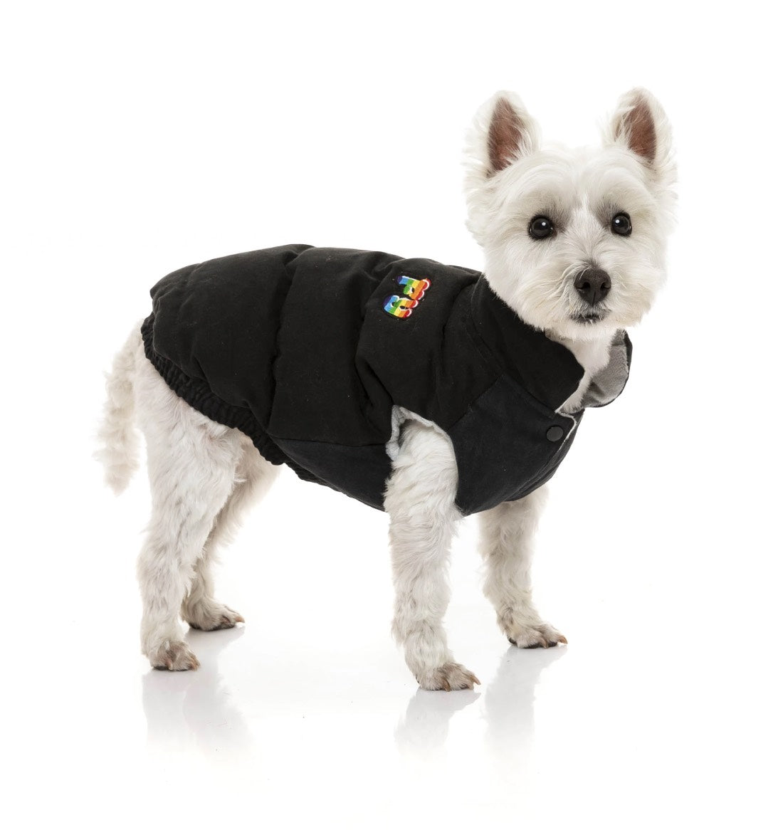FuzzYard Ashbury Dog Jacket - Black