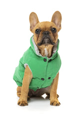 FuzzYard Ashbury Dog Jacket - Green