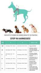 FuzzYard Go Nuts Donuts Step-In Dog Harness