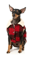 FuzzYard Lumberjack 25 Dog Jacket - Red