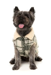 FuzzYard Lumberjack 25 Dog Jacket - Money Green / Cream