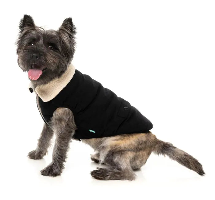 FuzzYard Frontier Jacket - Black