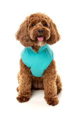 Fuzzyard Breaker Raincoat - Teal