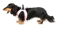 FuzzYard Cotton Candy Step in Dog Harness