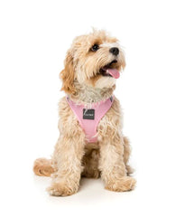 FuzzYard Cotton Candy Step in Dog Harness