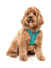 FuzzYard Lagoon Step in Dog Harness