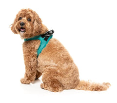 FuzzYard Lagoon Step in Dog Harness