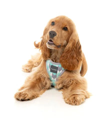 FuzzYard Mint Fizz Step‑In Dog Harness