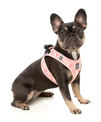 FuzzYard Pink Lemonade Step in Dog Harness