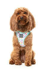 FuzzYard Bubblegum Burst Step‑In Dog Harness